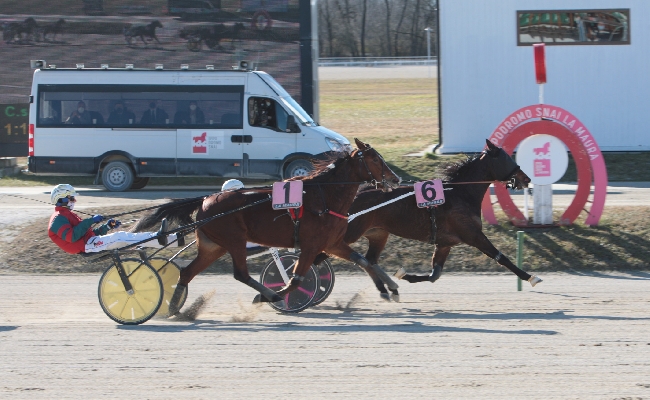 ALL’IPPODROMO SNAI LA MAURA IL PREMIO TACTICAL LANDING VA A ELISABETH BAR ALLA SUA PRIMA VITTORIA DOPO TRE USCITE