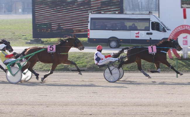 Ippica: all'ippodromo Snai La Maura è Synergy a vincere l'atteso premio Napoleon Bar