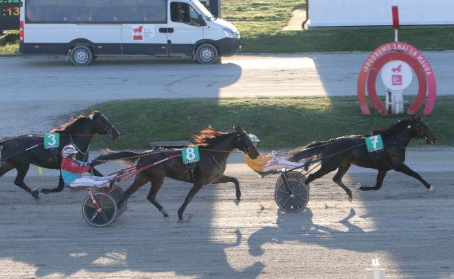 DOMENICA ALL’IPPODROMO SNAI LA MAURA DI MILANO CON IL PREMIO PRINCESS GRIF PER LA QUARTA GIORNATA STAGIONALE DI TROTTO