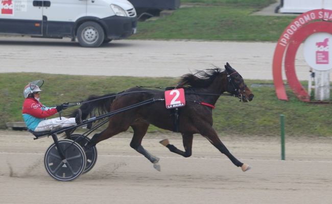 Ippica Ippodromo Snai La Maura Premio Glow Jesolo