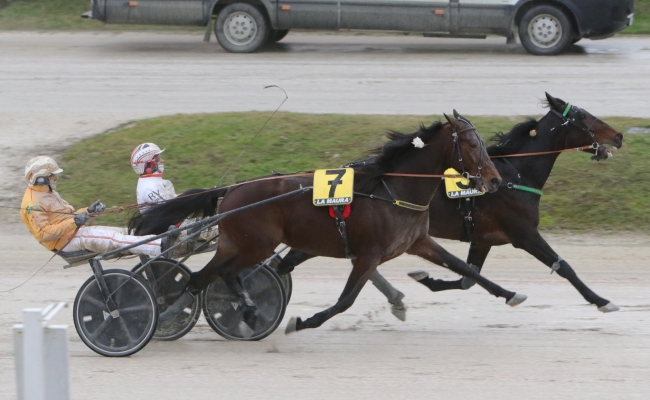 DOMENICA ALL’IPPODROMO SNAI LA MAURA CON L’ULTIMA GIORNATA DI CORSE DI GENNAIO