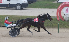 Ippica giovedì all'ippodromo Snai La Maura di Milano con la nuova giornata di trotto e il premio Penwood al via alle ore 13.45