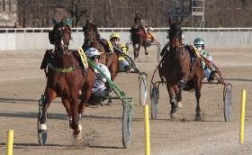 Ippica Ippodromo Snai La Maura Bambin Premio Erika Bi