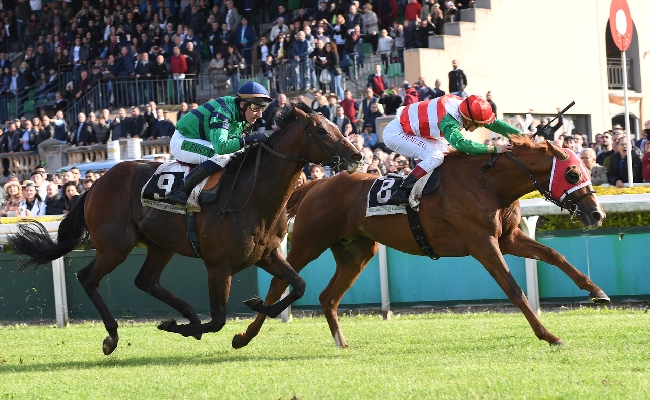 Ippica – Tutto pronto per la Gold Cup: Galopin Des Champs favorito ma A Plus Tard a 8 50 su Sisal.it cerca la doppietta a Cheltenham