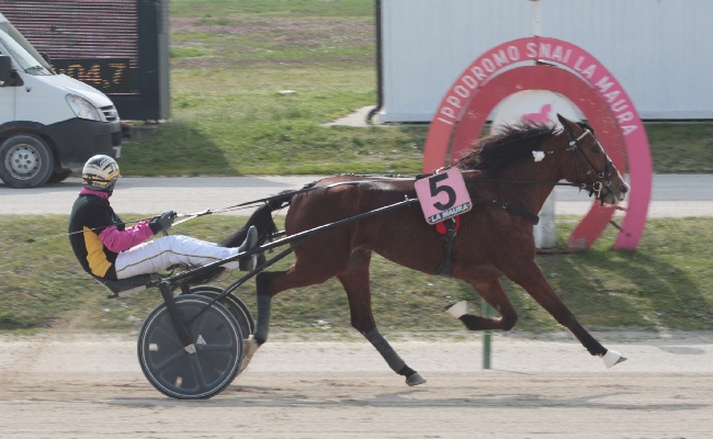 Ippica martedì all'ippodromo Snai La Maura di Milano con una nuova giornata di trotto. Occhi puntati sul premio Ruty Gri