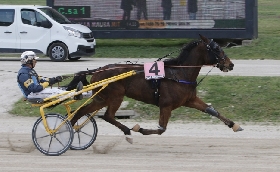 Ippica Barnaba Baba Premio Uxia Ek Ippodromo Snai La Maura