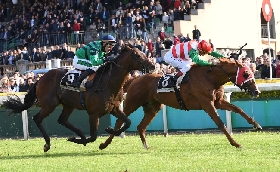 Ippica – Tutti contro Amabile nel Premio Pisa a San Rossore Blatant e Saputello a 5 00 su Sisal.it cercano il colpo grosso