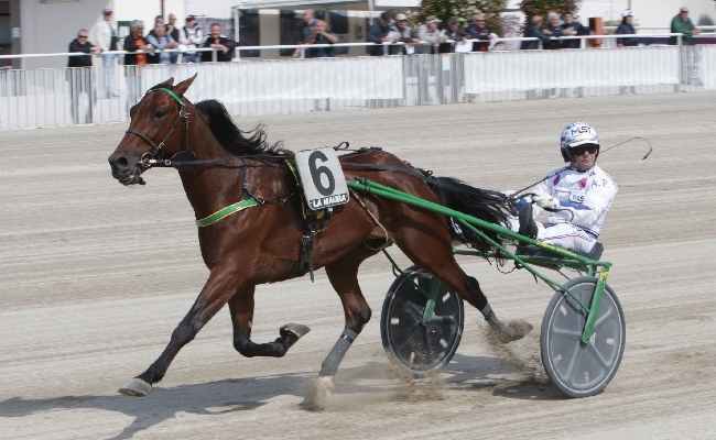 ALL’IPPODROMO SNAI LA MAURA CALA IL POKER ALESSANDRO GOCCIADORO CHE PERÒ ‘STECCA’ IL PREMIO DEFILÉ VINTO DA DAYTON CON ANDREA FAROLFI