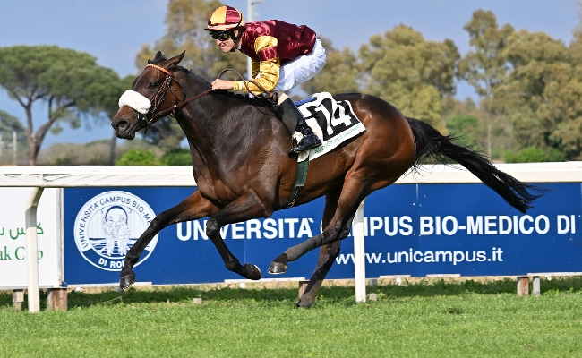 Lanfranco Frankie Dettori trionfa nel Premio Parioli in sella a Vero Atleta Shavasana vince il Regina Elena davanti a Estrosa la cavalla di Max Allegri