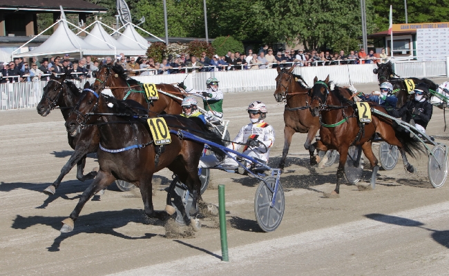 ALL’IPPODROMO SNAI LA MAURA DI MILANO SI CORRE MARTEDÌ PER LA 27^ GIORNATA STAGIONALE. IN PISTA SETTE CORSE IN CUI SPICCA IL PREMIO SCUDERIA PINK e BLACK