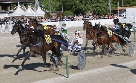ALL’IPPODROMO SNAI LA MAURA DI MILANO SI CORRE MARTEDÌ PER LA 27^ GIORNATA STAGIONALE. IN PISTA SETTE CORSE IN CUI SPICCA IL PREMIO SCUDERIA PINK e BLACK