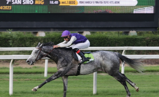 NEL BEL SABATO ALL’IPPODROMO SNAI SAN SIRO DI MILANO SEAN LA SPUNTA NEL PREMIO AMBROSIANO MENTRE SILVER MISSION FA SUO L’HANDICAP DI PRIMAVERA