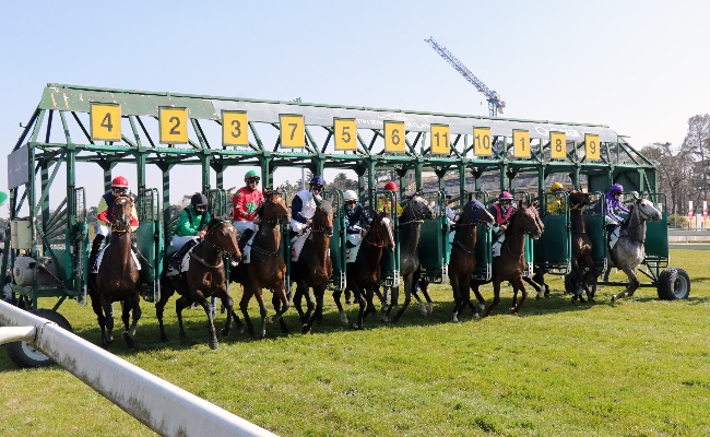SUPER MERCOLEDÌ ALL’IPPODROMO SNAI SAN SIRO DI MILANO TRE PROVE ‘CONDIZIONATE’ E AMPIO SPAZIO AI CAVALLI DI 3 ANNI. DA NON PERDERE IL PREMIO BBAG