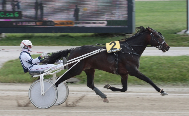 ALL’IPPODROMO SNAI LA MAURA SI CONFERMA L’ESPERIENZA DI ATTALO NEL PREMIO CLOU DEL MARTEDÌ INTITOLATO ALLA SCUDERIA PINK e BLACK DELLA FAMIGLIA MICCICHÉ
