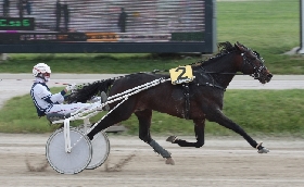 ALL’IPPODROMO SNAI LA MAURA SI CONFERMA L’ESPERIENZA DI ATTALO NEL PREMIO CLOU DEL MARTEDÌ INTITOLATO ALLA SCUDERIA PINK e BLACK DELLA FAMIGLIA MICCICHÉ