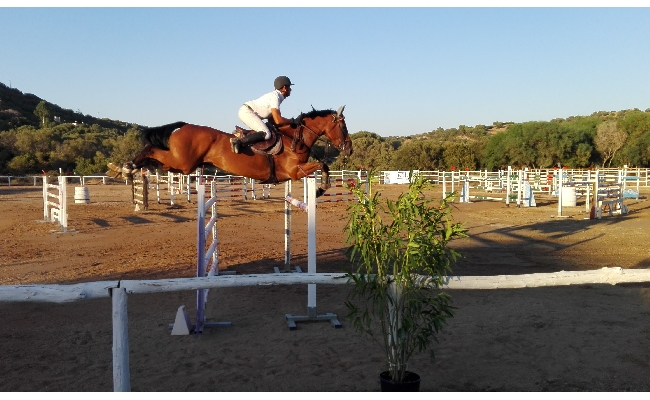 Salto Ostacoli: l'Ippopark Palahorse di Golfo Aranci ospita la Tappa Misaf il Gran Premio Fise Sardegna i Campionati sardi e una Tappa del Trofeo dei Nuraghi Agris