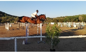 Salto Ostacoli: l'Ippopark Palahorse di Golfo Aranci ospita la Tappa Misaf il Gran Premio Fise Sardegna i Campionati sardi e una Tappa del Trofeo dei Nuraghi Agris