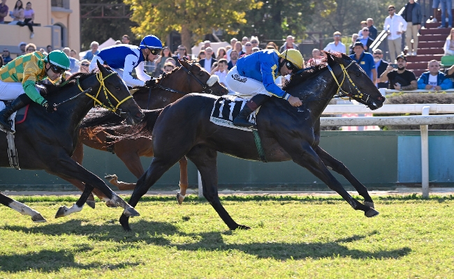  galoppo con i Premi Tadolina e Agriformi Nel weekend Japan Days all'Ippodromo
