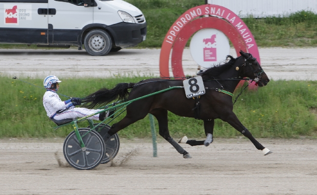 ALL’IPPODROMO SNAI LA MAURA DI MILANO IL RICORDO DI WILLIAM CASOLI È PIÙ VIVIDO GRAZIE ALLA BELLA VITTORIA DI COLTWINE DI CASEI