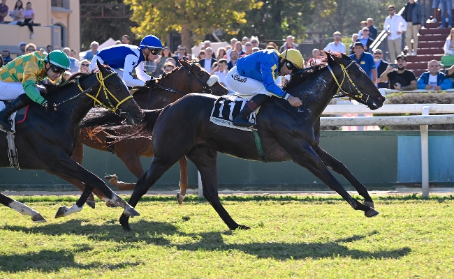 Ippica MST Derby Italiano galoppo live oltre 20 Nazioni prima volta storia