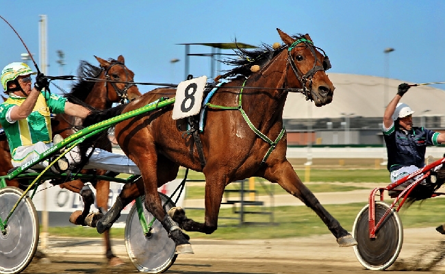 Ippica trotto EQUtv Sweden Cup Elitloppet