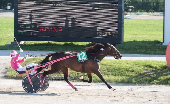 Ippica Ippodromo Snai La Maura Milano maggio Breila di Casei 9 giugno Gran Premi Nazionale Nazionale Filly 