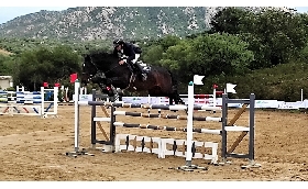 Ippica salto ostacoli Ippopark Golfo Aranci Campionati Regionali campione Giovanni Carboni