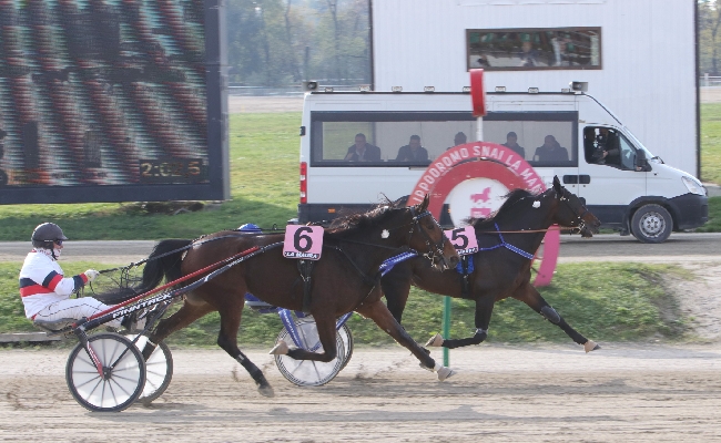 Ippica: super venerdì all'ippodromo Snai La Maura di Milano con il Gran Premio Nazionale e Nazionale Filly