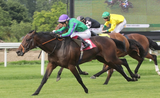 Ippica Ippodromo Snai San Siro Milano mercoledì Lady Argento Premio Nina Akamu