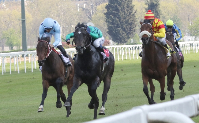 DOMENICA 18 GIUGNO L'IPPODROMO SNAI SAN SIRO SI VESTE A FESTA PER IL GRAN PREMIO MILANO 