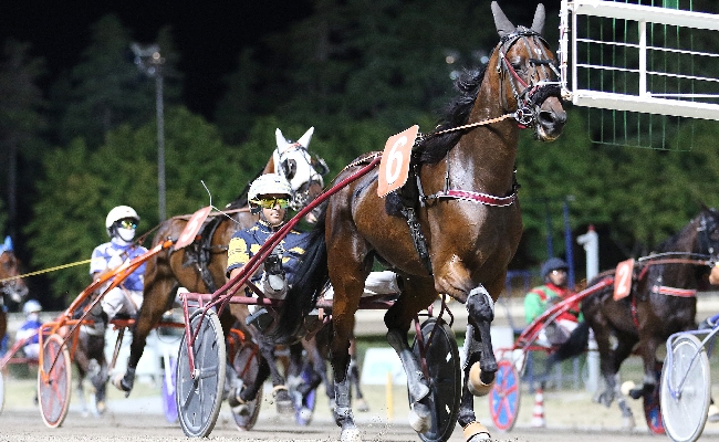ippodromo cesena trotto: presentazione delle corse di venerdì 30 giugno 2023
