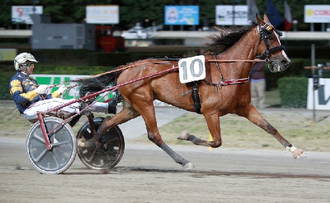 Ippica Ippodromo Cesena Trotto presentazione Gran Premio Riccardo Grassi sabato 8 luglio