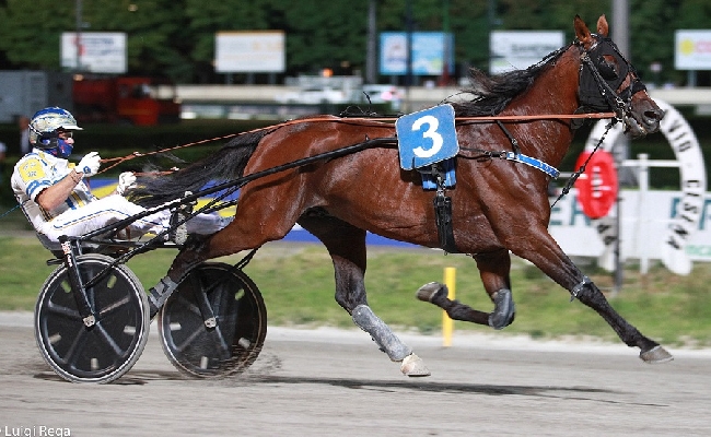 Ippica Ippodromo Cesena Trotto resoconto corse sabato 8 luglio 2023 Gran Premio Riccardo Grassi