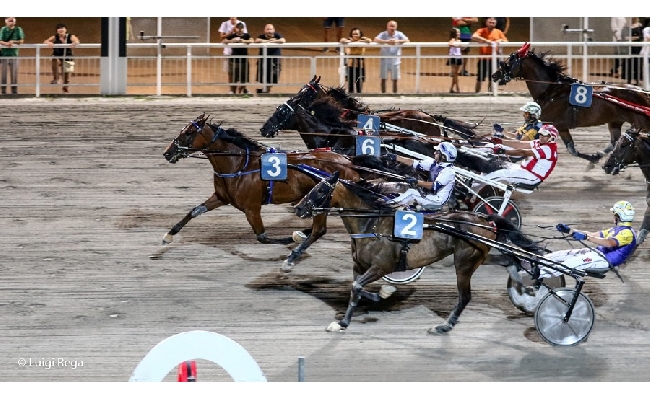 Ippica Ippodromo Cesena trotto resoconto corse martedì 11 luglio