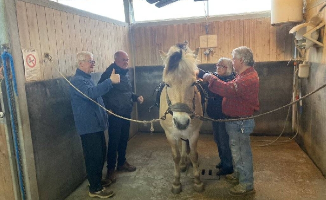 Equitazione Fise Emilia Romagna: tre progetti che vanno ripetuti