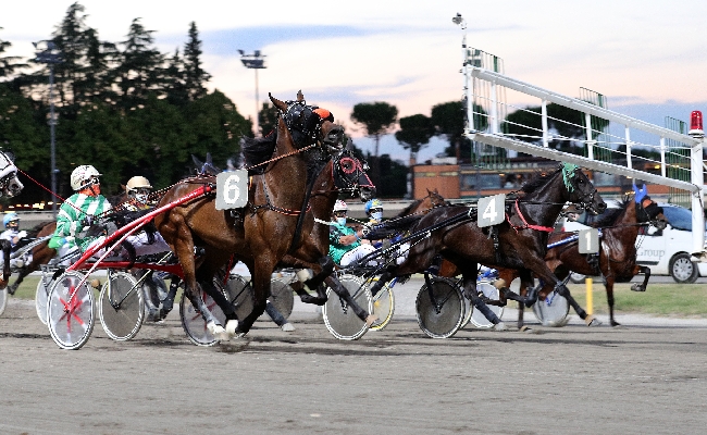 ippodromo cesena trotto: presentazione corse di martedì 25 luglio 2023