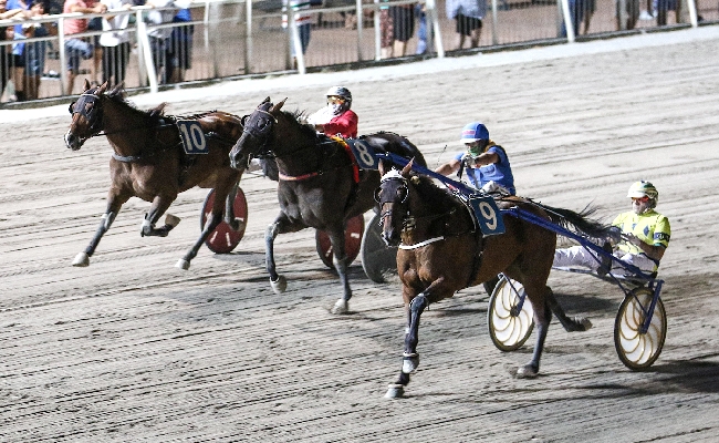ippodromo cesena trotto: resoconto corse di martedì 25 luglio 2023