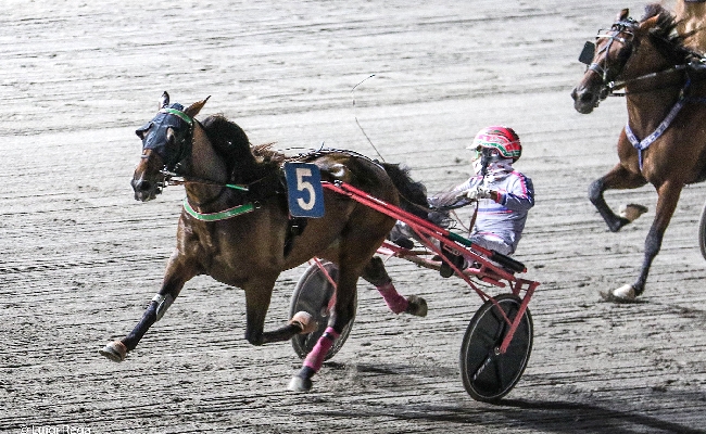 Betflag a Montegiorgio cavalli in pista per il gran premio Marche