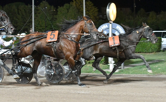 Ippica Ippodromo Snai Sesana sabato sette corse trotto occhi puntati Freccia Venti Premio Brandani Gift Group Pescia 
