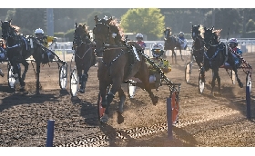 Ippica weekend Ippodromo Capannelle sabato 23 trotto anticipo Derby domenica 24 galoppo listed