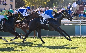 Ippica – Ace Impact imbattuto cerca l’acuto all’Arc de Triomphe Dettori a 3 00 su Sisal.it vuole il settimo trionfo a Longchamp