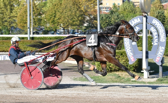 ALL’IPPODROMO SNAI SESANA IL SABATO DI TROTTO CHE VALE COME PENULTIMA GIORNATA DELLA STAGIONE VEDE FARIBA CR VINCERE LA PROVA CLOU IL PREMIO FILIPP ROC