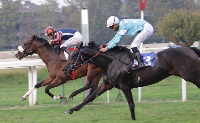 Ippica mercoledì Ippodromo Snai San Siro Calm Reef Premio Dormelletto Premio Cottomouth successo Zittella