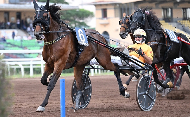 BETFLAG DERBY E OAKS DOMENICA E’ FESTA A CAPANNELLE