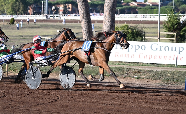 Ippica Expo Wise As vince 96 Derby Italiano Trotto Euphoria BI sorpresa trionfa Oaks