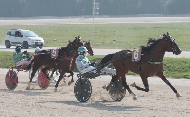 ALL’IPPODROMO SNAI LA MAURA DI MILANO SI RIPARTE CON LA SESSIONE DI TROTTO AUTUNNO INVERNO. MARTEDÌ DALLE ORE 15 IN PISTA CON SETTE CORSE 