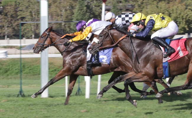 Ippica: mercoledì da non perdere all'ippodromo Snai San Siro con sei corse dedicate alle vittorie più importanti della carriera di Falbrav