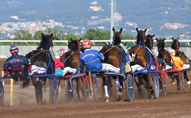 Ippica: sabato 21 ottobre al trotto all'Ippodromo Capannelle