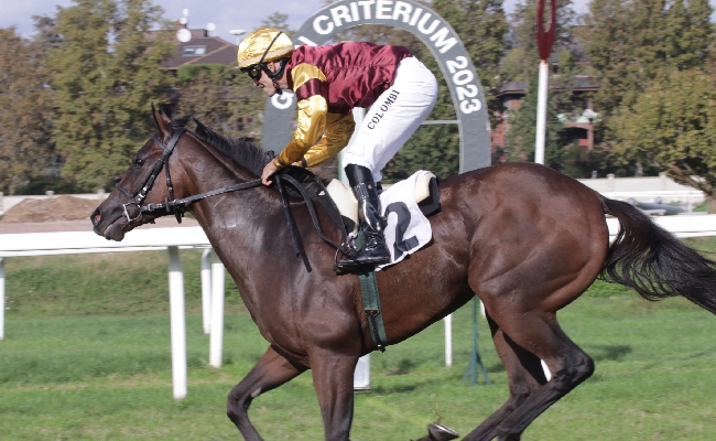 Ippica Gran Criterium Wintertraum Dormello Folgaria spettacolare domenica Ippodromo Snai San Siro