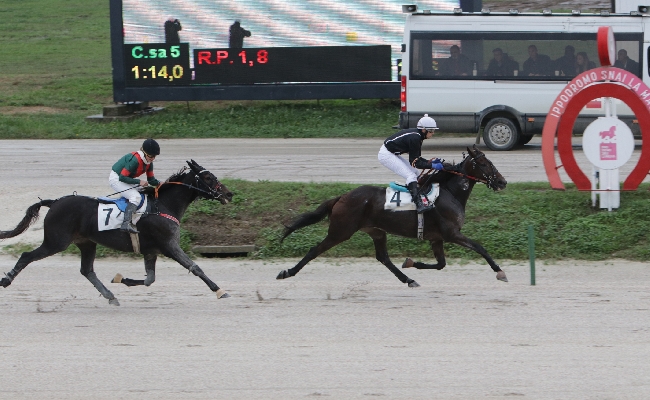 All'Ippodromo Snai La Maura nel martedì dedicato alla scuderia Gnafà doppio Gocciadoro con Falcon Dany Bar e Future As